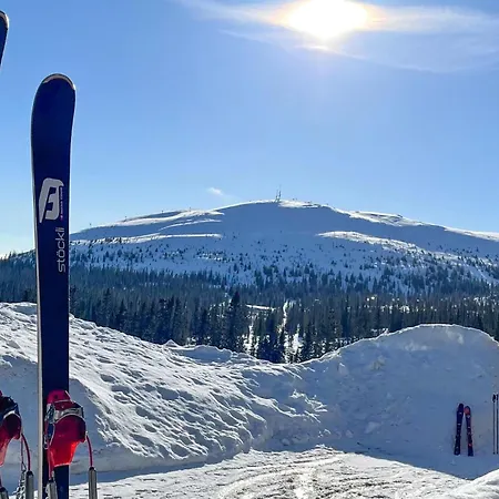 Amazing In With Sauna Trysil